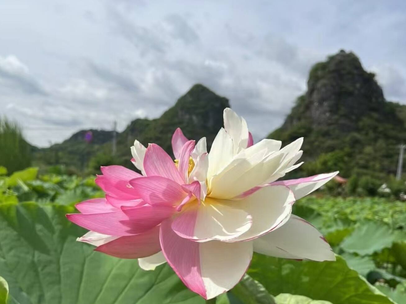 丘北-丘北最资源